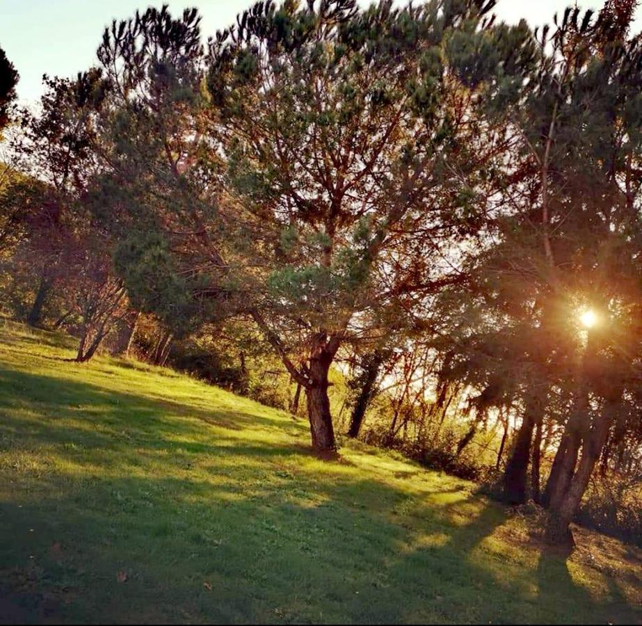 דירות ברגרק Printemps Quatre Saisons מראה חיצוני תמונה